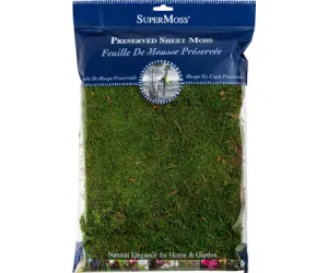 Sheet Moss Preserved - Fresh Green